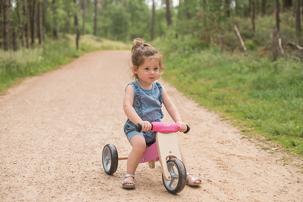 bandits and angels smart bike 4 in 1