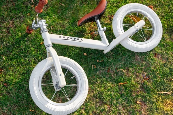 Wielen met standaard ventiel