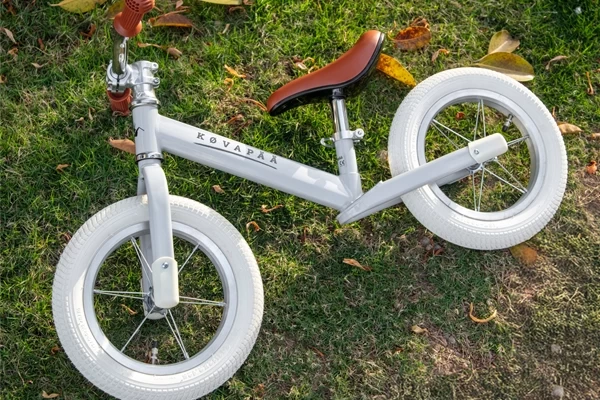 Wielen met standaard ventiel