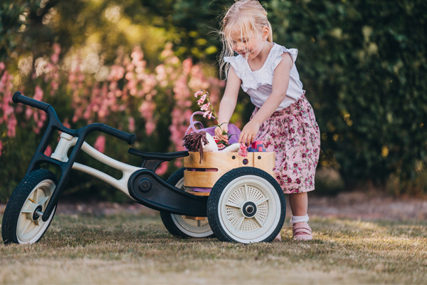 Cargo Bin op de Wishbonebike RE2 Raw 3 in 1.