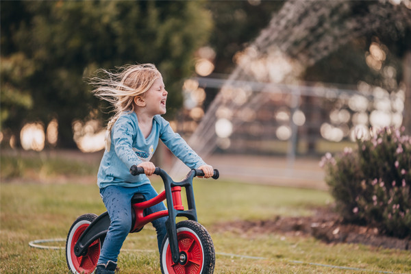 De Wishbonebike RE2 Red als tweewieler.